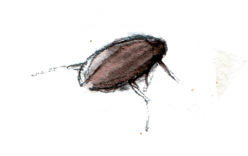 Gyrin / © Benoît Perrotin