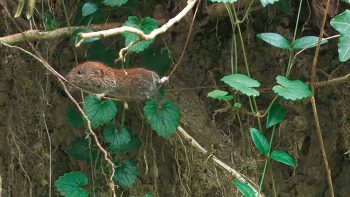 Image tirée du film «Premières loges» / © Vincent Chabloz