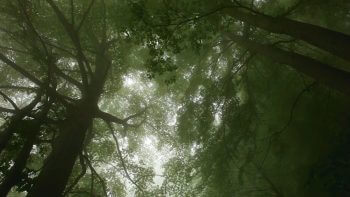 Image tirée du film «Premières loges» / © Vincent Chabloz