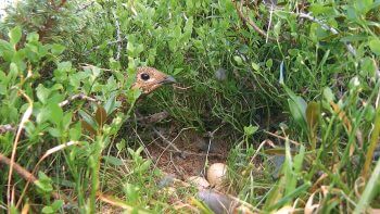 Image tirée du film «Premières loges» / © Vincent Chabloz