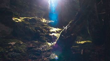 Image tirée du film «Premières loges» / © Vincent Chabloz