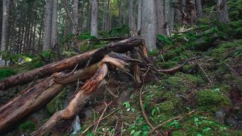 Image tirée du film «Premières loges» / © Vincent Chabloz