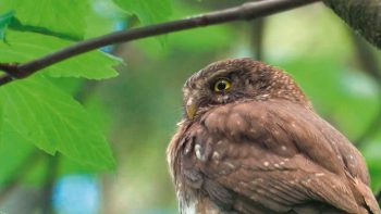 Image tirée du film «Premières loges» / © Vincent Chabloz