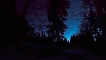 La Minute Nature réalisée pendant ce reportage. / © Julien Perrot