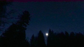 La Minute Nature réalisée pendant ce reportage. / © Julien Perrot