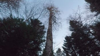 La Minute Nature réalisée pendant ce reportage. / © Julien Perrot