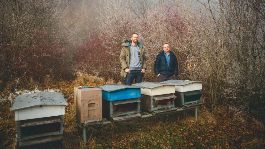 Des ruches connectées pour secourir les abeilles - La Salamandre
