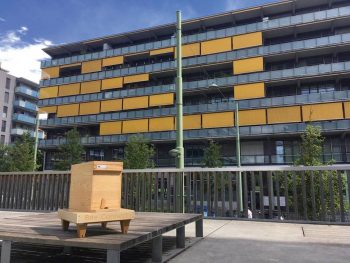 Des ruches connectées pour secourir les abeilles - La Salamandre