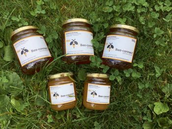 Des ruches connectées pour secourir les abeilles - La Salamandre