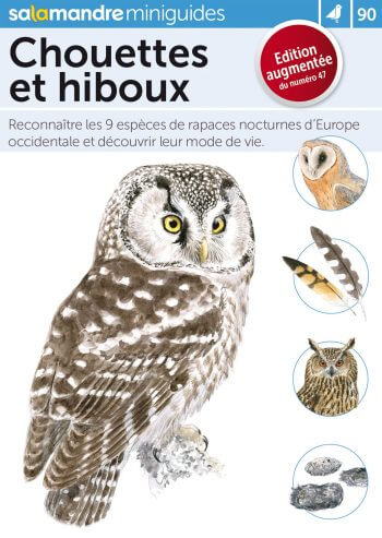 La chevêchette, petit diable du Vercors - La Salamandre