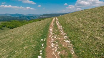 Minute Nature réalisée dans le Vercors  
 / © Julien Perrot
