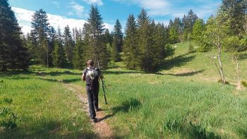 Minute Nature réalisée dans le Vercors  
 / © Julien Perrot