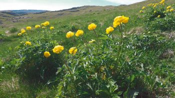 Minute Nature réalisée dans le Vercors  
 / © Julien Perrot