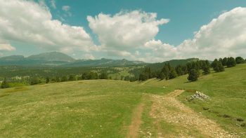 Minute Nature réalisée dans le Vercors  
 / © Julien Perrot