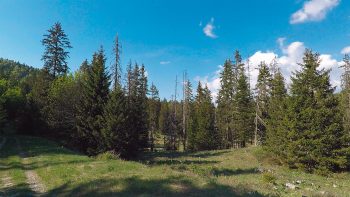 Minute Nature réalisée dans le Vercors  
 / © Julien Perrot