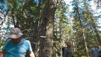Minute Nature réalisée dans le Vercors  
 / © Julien Perrot