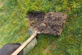 Choisissez de préférence un endroit ensoleillé et plutôt drainé. Pas besoin de grand espace. Retournez le sol pour le mettre à nu. N’hésitez pas à l’appauvrir de sa couche de terre arable. En ville, vous pouvez aussi faire une mini-prairie dans une grande jardinière.