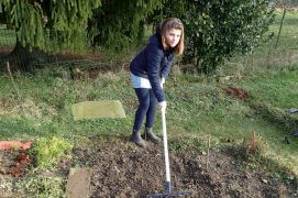 Ratissez le sol et nettoyez la terre des éventuelles racines.