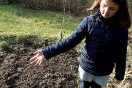 Semez à la volée, ratissez à nouveau très légèrement pour recouvrir les graines de terre puis tassez avec le dos du râteau.