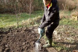Arrosez copieusement de préférence avec de l’eau de pluie et maintenez la surface du sol humide le temps de la germination. Ensuite, n’arrosez plus ou très peu. Les prochaines averses feront le reste. Patientez, une prairie colorée apparaîtra bientôt.