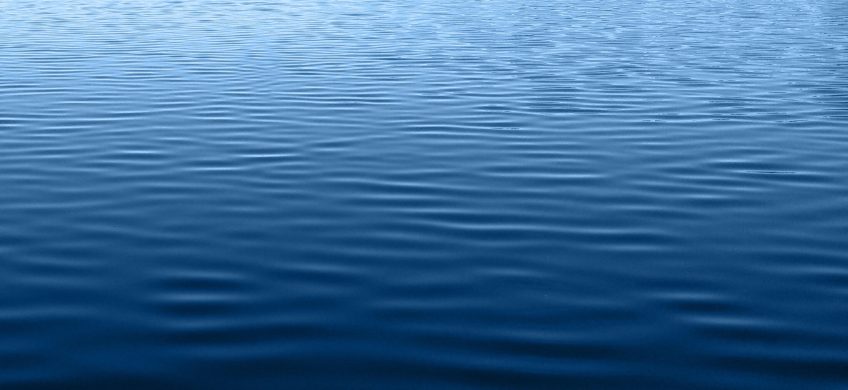 Cyanobactéries, des algues bleues pour un futur noir ? - La Salamandre