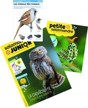 Nouveautés Salamandre avril 2018