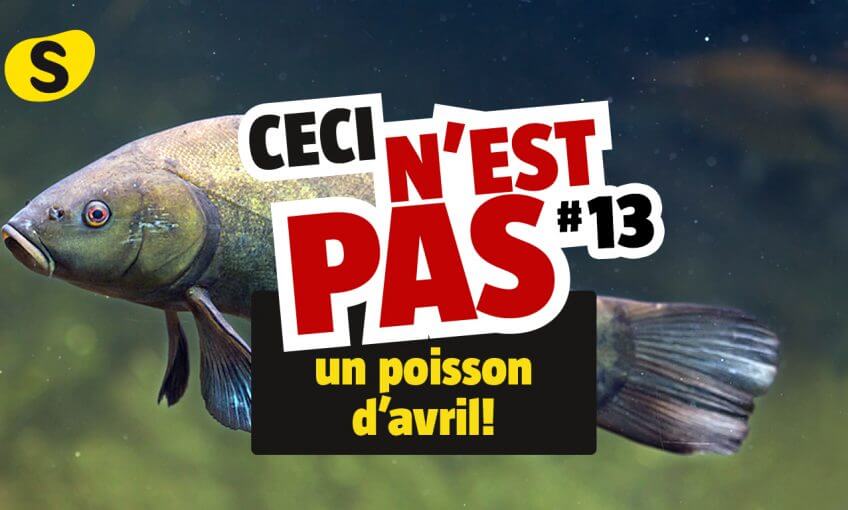 Lire la vidéo