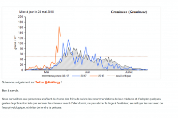 Zoom pollen Belgique
