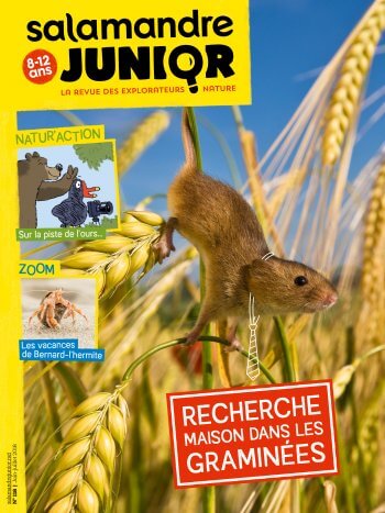 Couverture de La Salamandre Junior n°118