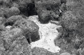Au creux du lapiaz
Ce qui reste de neige
Se fait tout discret / © Vincent Delfosse