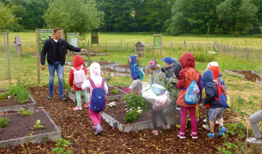 éducation à la nature Je veux produire de bons souvenirs - La Salamandre