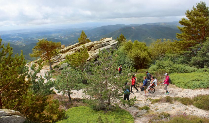 Balade sur les traces du mouflon au massif du Caroux, dans l'Hérault