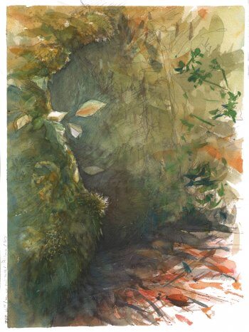 Risoux, l'appel de la forêt, le livre - La Salamandre