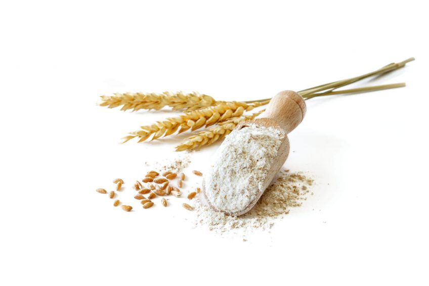 Le gluten, ennemi public ? - La Salamandre