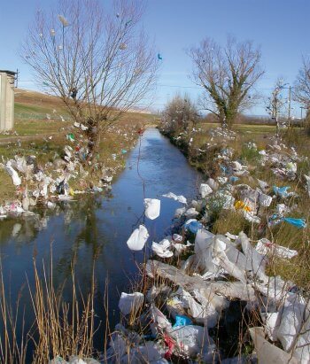 Les plastiques de la décharge de Marseille.
 Nacicca défend la nature des Bouches-du-Rhône - La Salamandre
