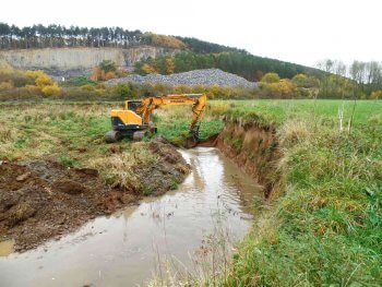 L'hirondelle de rivage, un oiseau à protéger en Belgique - La Salamandre
