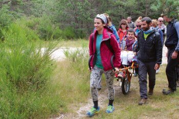 Le mouflon venu d’ailleurs - La Salamandre