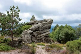 Non loin de la table d’orientation du mont Caroux / © Fleur Daugey 