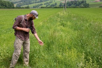 A la recherche du tarier des près - La Salamandre