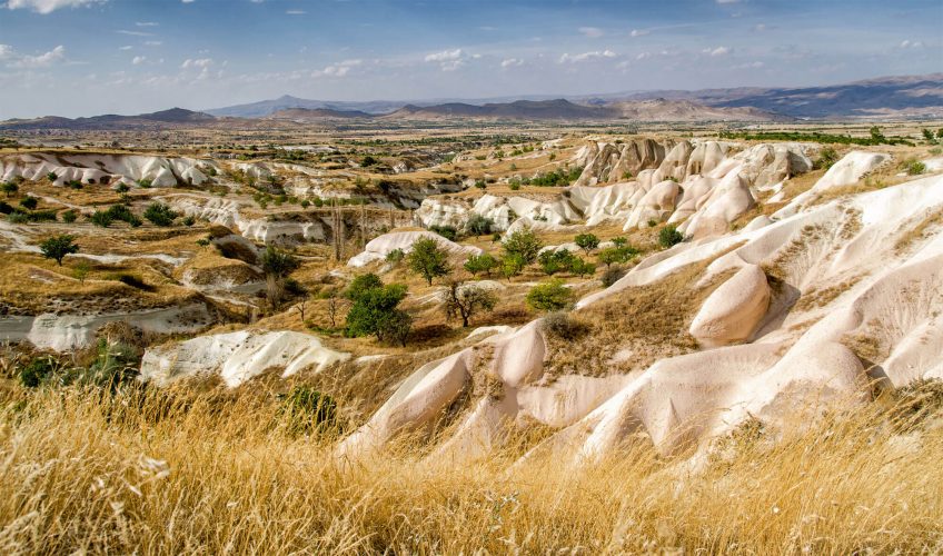 Paysage de culture de céréales