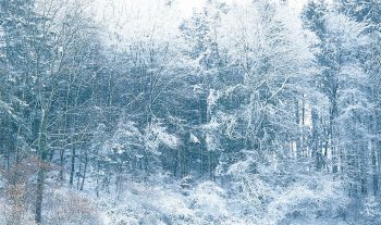 Désirée à Noël, crainte en ville, attendue dans les stations, la neige cristallise tous les enjeux de notre hiver.