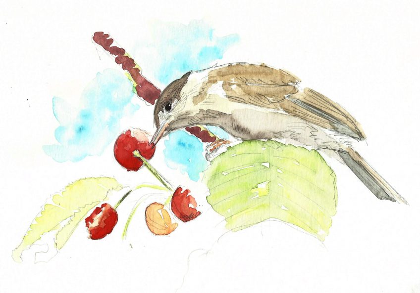 Lutter ou partager - La Salamandre