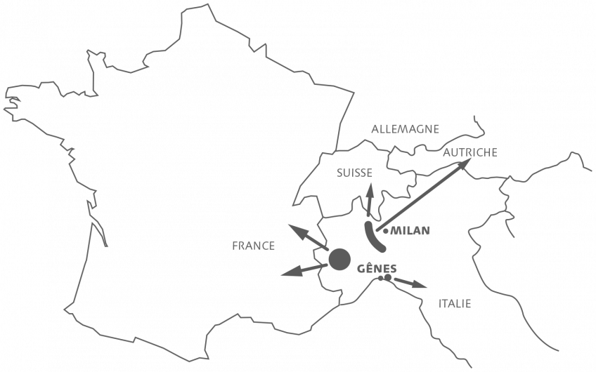 L'écureuil gris espèce invasive qui décime l'écureuil roux - La Salamandre