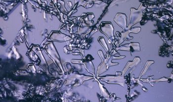 Les branches du cristal s’épaississent. La fonte a commencé. Elle va s’accélérer pour transformer cette étoile en un grain de neige sphérique. Les branches du cristal s’épaississent. La fonte a commencé. Elle va s’accélérer pour transformer cette étoile en un grain de neige sphérique.