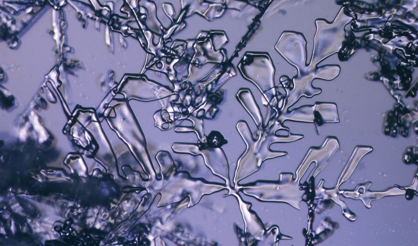 Les branches du cristal s’épaississent. La fonte a commencé. Elle va s’accélérer pour transformer cette étoile en un grain de neige sphérique.