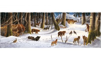 Noël sous la neige. Une réalité dans les Alpes, ailleurs un mythe romantique la plupart du temps. Noël sous la neige. Une réalité dans les Alpes, ailleurs un mythe romantique la plupart du temps.