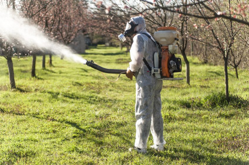 homme qui asperge des pesticides