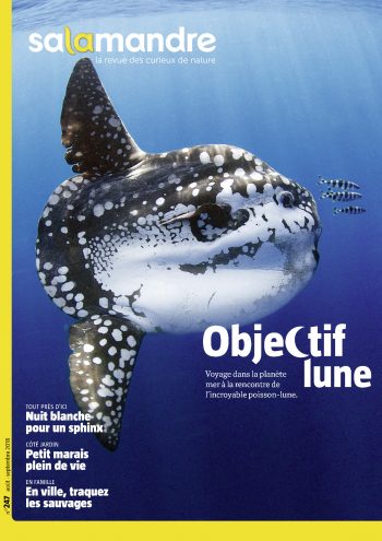 Couverture de La Salamandre n°247