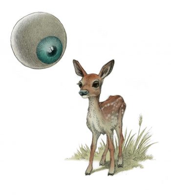 Un pilote de drone à la rescousse des faons en danger - La Salamandre