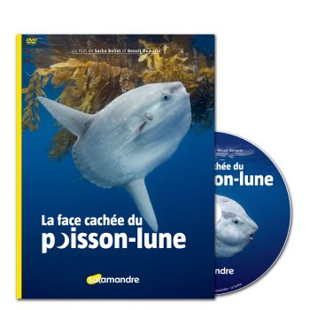 film la face cachée du poisson-lune